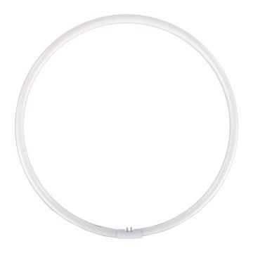 Falcon Eyes Lampe Anneau de Rechange pour FLC-55 55W