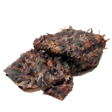 Buteo Photo Gear Filet de camouflage 1 Feuille colorée 2,4x3 m