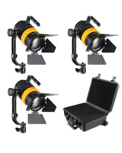 Falcon Eyes Ensemble Fresnel Mini LED Bi-Color P-5AD-K3
