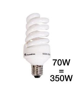 Falcon Eyes Lampe lumière du jour 70W E27 ML-70