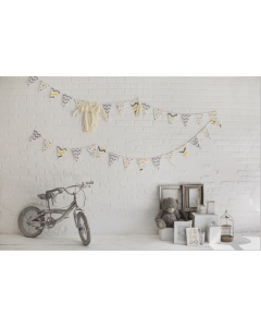 StudioKing Toile de fond BTB1 3x2m avec imprimé