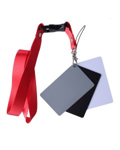 StudioKing Carte Grise Numérique SKGC-31S