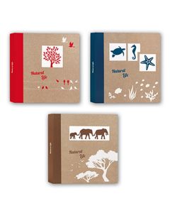 Zep NF293150 Album Pergamin 50 feuilles 29x31 cm 6 pièces