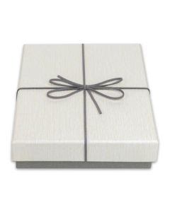 Zep Boîte de rangement BX3514B Box Piacenza B 15,3x21,4x4