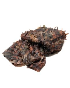 Buteo Photo Gear Filet de camouflage 1 Feuille colorée 2,4x3 m